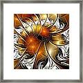 Amber Vortex Framed Print