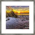 Ambience Of The Gulf Framed Print
