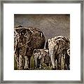 Amboseli Herd Framed Print