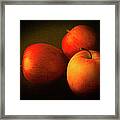 Ambrosia Apples Framed Print
