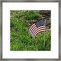 American Pride Framed Print