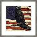 American Pride Framed Print