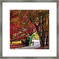 An Amish Autumn Ride Framed Print