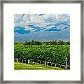Andes Vineyard Framed Print