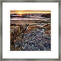 Anemone Sunset Framed Print