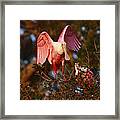 Angel Wings Framed Print