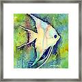 Angelfish I Framed Print