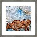 Ankole Cow Framed Print