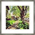 Another Beautiful Day In Portland Framed Print