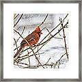 Another Snowy Day Framed Print