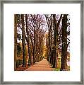 Another View Of The Avenue Of Limes Framed Print