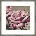 Antique Red Hybrid Tea Roses With Brocade Corners Framed Print
