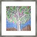 Apple Tree Framed Print