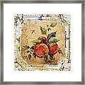 Apples And Bee On Vintage Tin Framed Print