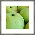 Apples From The Tree In Our Garden Framed Print