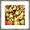 Apples Framed Print