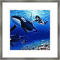 Aquaria's Orcas Framed Print