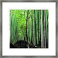 Arashiyama Bamboo Glade Night Panorama Framed Print