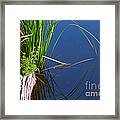 Arches Framed Print