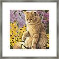 Archibald And Friend Framed Print