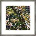 Archway Glorious Framed Print