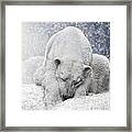 Arctic Giant Sleeping Framed Print