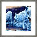 Arctic White Wolves Framed Print