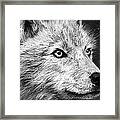 Arctic Wolf Framed Print