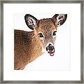 Are You Done Taking Pictures Framed Print