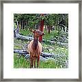 Are You Talking To Me Framed Print