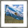 Argentina Flag Framed Print