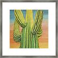 Arizona Cactus Framed Print