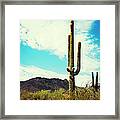 Arizona Saguaro Cactus Framed Print