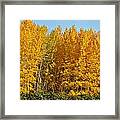 Around And About In My Neck Of The Woods Series 30 Framed Print