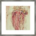 Art Nouveau Pink 3 Framed Print