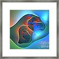 Artery Framed Print