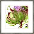 Artichoke Flower Framed Print
