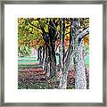 Artistic Autumn Framed Print