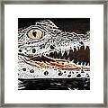 Artistic Cuban Crock Framed Print