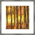 Artistic Fall Forest Abstract Framed Print