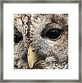 Arts Gentle Expression Framed Print