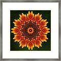 Artsy Sunflower Kaleidoscope Framed Print