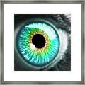 Artwork Of Human Eye Framed Print