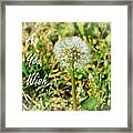 As You Wish... Framed Print
