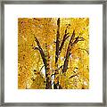 Ash's Fall Leaves Are Falling Framed Print