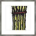 Asparagus Bunch Framed Print