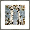 Aspen Autumn Framed Print