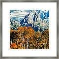 Aspen Trees In A Forest, Teton Range Framed Print