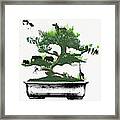 Assorted Animals In Bonsai Tree Framed Print