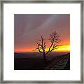 At First Light Framed Print